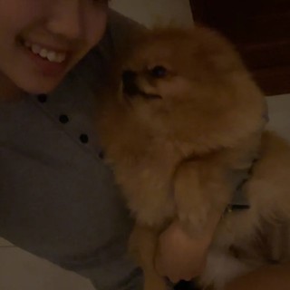 myngoc_1202