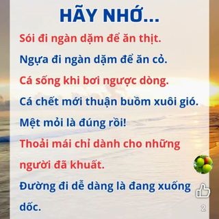 anhthunguyenngoc2019