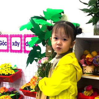 hachi_hamy