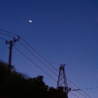 cherry_nguyentrankhanhthy