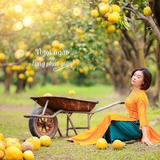 nhungnguyen021206