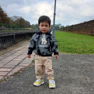 haidangbull
