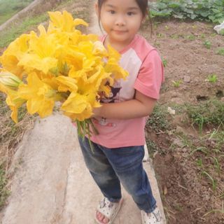 hanhnguyenthi197