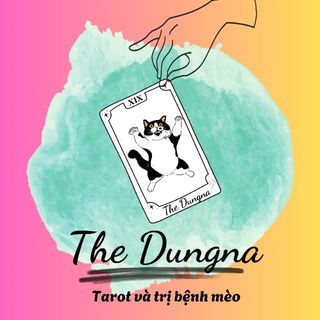 dungna238