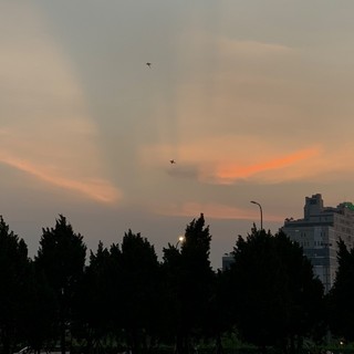 linh_no140201