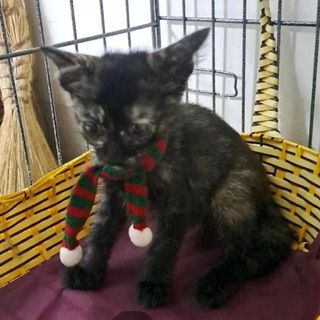 ngocquyhh07