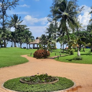 tranthithanhhoa82