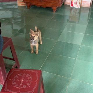 huynh_namm