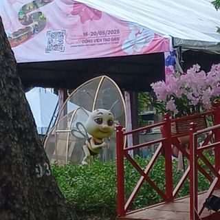 hnhdiplminh