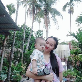 phmdip