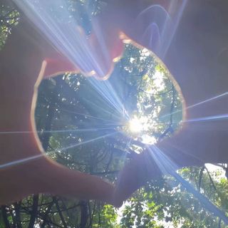 caodinh369
