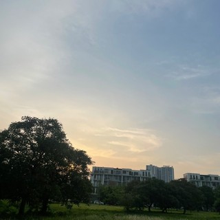 annguynkhnh