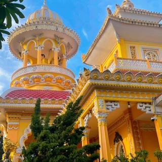 vinhanh6789