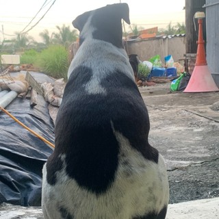 my1230308