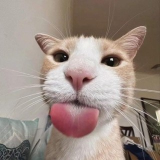 quynhlan245
