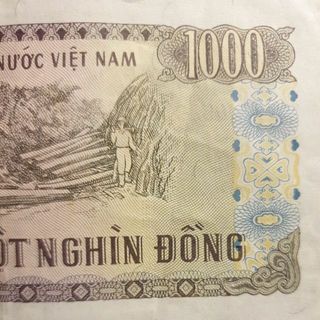 ngodangson2304