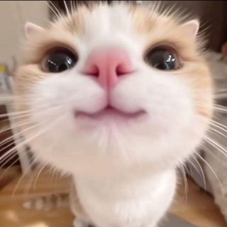 kyphuongitme123