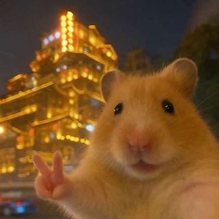 huonggiangtran0712