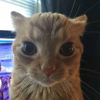 phuonganh_2k3