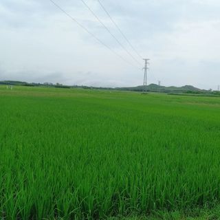 huynhhonghanh