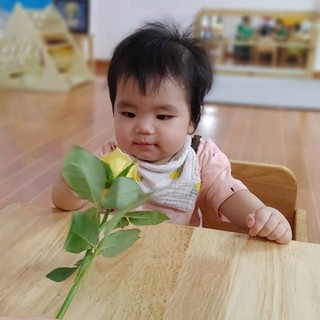 phuongang.31392