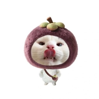 nhanhdung13
