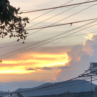thanh_ha171p