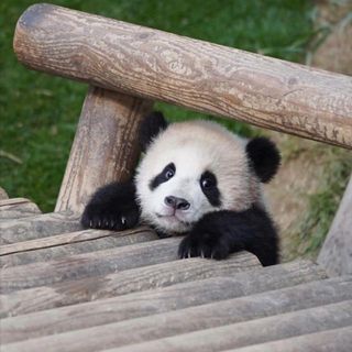 thanhphuongbui136