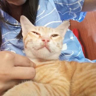 anhlinh_2006