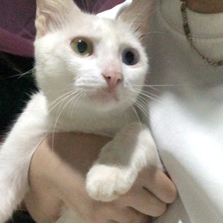 kimcuc_32