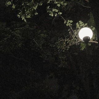 khoa_dong