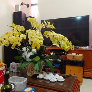 thienanhminhthang