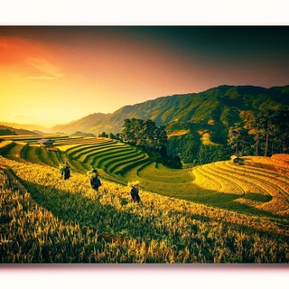 duy_studio