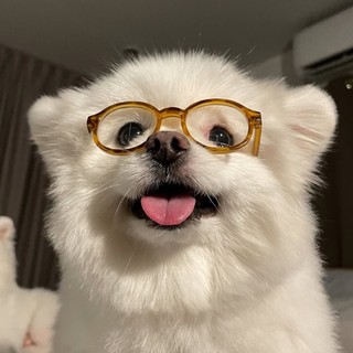 nhungghong12