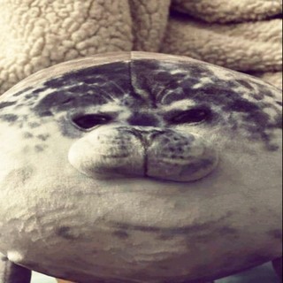 catxanhng