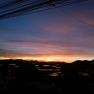 tanbao2009