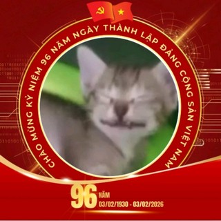 lngngcm309