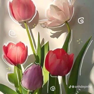 thaidoanchien_1982