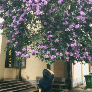 kh.huyen292
