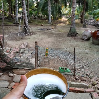 chau_anh1