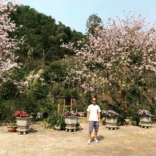 nguyencuong054