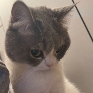 nhungniioie