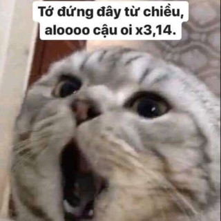 meows2