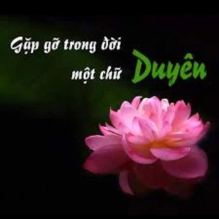 nguyenthemot
