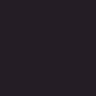 rxvgg1_dqn