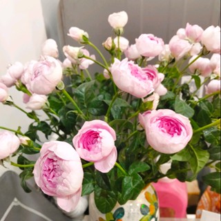 dangchauanh77