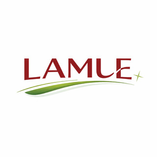 lamlh113