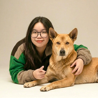 buihoaiphuong12