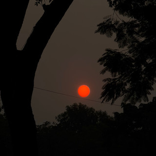 hoangtrang9