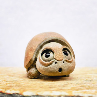 xhaisonynx